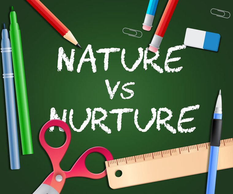 Nature vs Nurture Essay