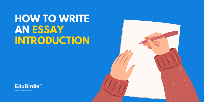 How to write an essay introduction